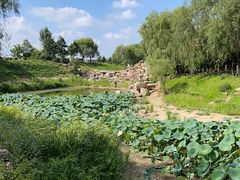 -莫子山公园