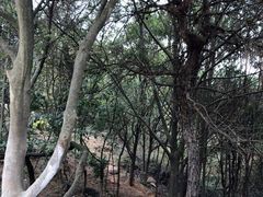 -南京市无想山景区