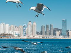 -辰熙ACX星海艺术中心