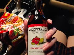 -枫花园汽车电影院(朝阳公园店)