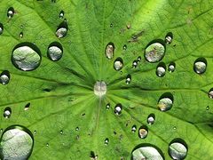 -西南交通大学(九里校区)