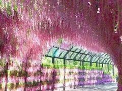 -东钱湖水上乐园(南门)