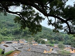 -杨家堂村