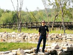 -溱湖国家湿地公园