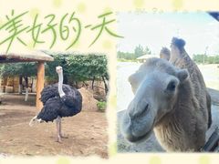 -齐齐哈尔龙沙动植物园