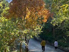 -北京鹫峰国家森林公园