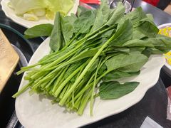 -芦月轩羊蝎子(北蜂窝店)