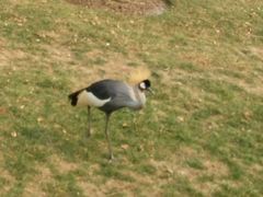 -武清南湖绿博园