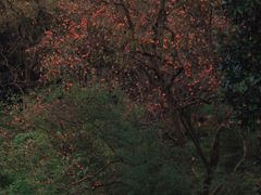 -丹山赤水风景名胜区