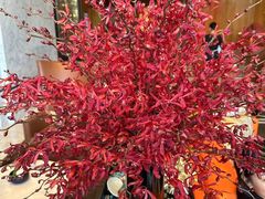 -成都尼依格罗酒店