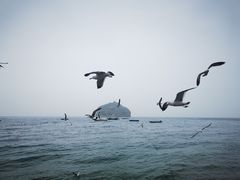 -棒棰岛宾馆景区
