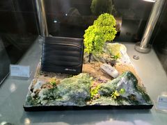 -宁波之星奔驰4S店(海曙店)