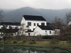 -树山生态村