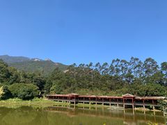 -清水湖度假村(罗浮山美食地标店)