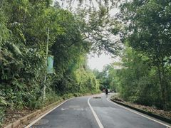 -孔雀湖生态旅游区