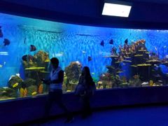 -石林冰雪海洋世界