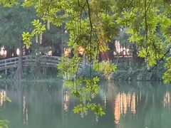 -东湖落雁景区
