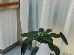 -圣贝口腔(海淀店)