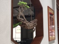 -雅和睿景·商务宴·风味土窑鸡(花博汇店)