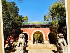 -灵谷景区