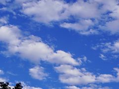 -两河城市森林公园