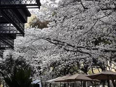 -玛格萝妮比萨屋(四平店)