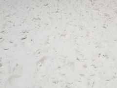 -绍兴启迪乔波冰雪世界