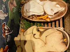-季季山·云南野生菌火锅(上海首店)