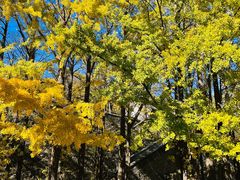 -北京鹫峰国家森林公园