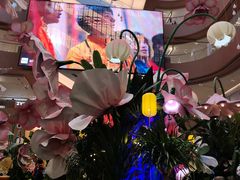 -渡娘火锅(大兴大悦春风里店)