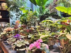 -自由生长植物工作室(深港花卉中心店)