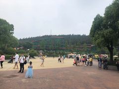 -南京银杏湖乐园