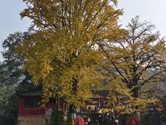 -佛荫寺