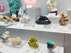 -湖南省地质博物馆