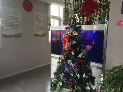 -传世玉颜专业祛痘·问题肌