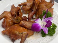 -鸽鸟轩(石岐店)