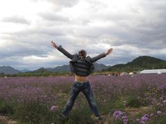 -北京东方普罗旺斯薰衣草庄园