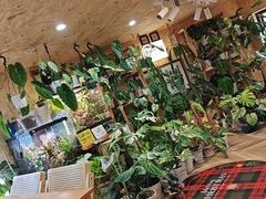 -Rabbit Cafe私房西餐甜点咖啡(栖霞路店)