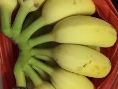 -泉州海丝野生动物世界