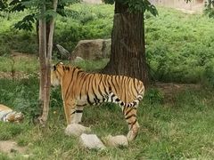 -西安秦岭野生动物园