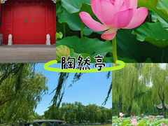 -陶然亭公园