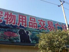 -山东柏宁水族批发广场