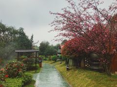 -咸宁万豪温泉谷度假区