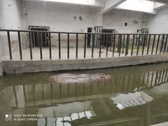 -石家庄市动物园