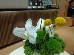 -蓉小乔·RONG COFFEE(春熙路店)