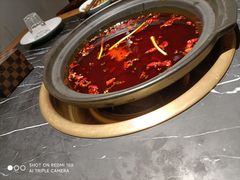 -杨家火锅(国美店)