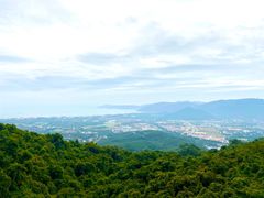 -亚龙湾热带天堂森林公园