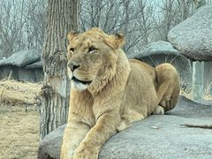 -北京野生动物园