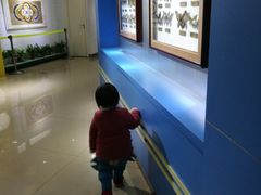 -上海昆虫博物馆