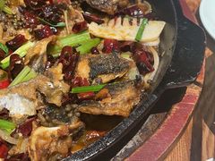 -老板恋上鱼(高新万达店)